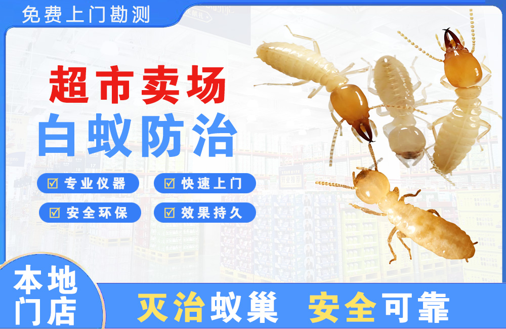 郴州超市卖场白蚁防治