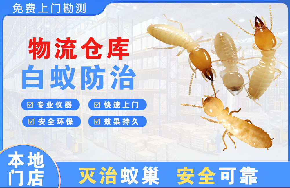 郴州物流仓库白蚁防治