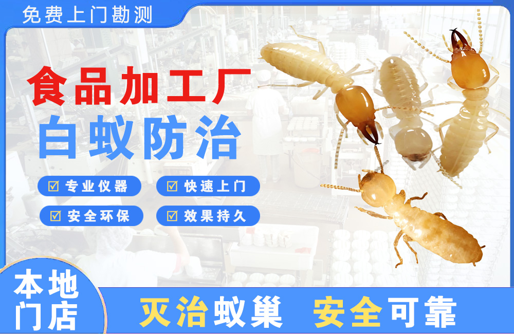郴州食品加工厂白蚁防治