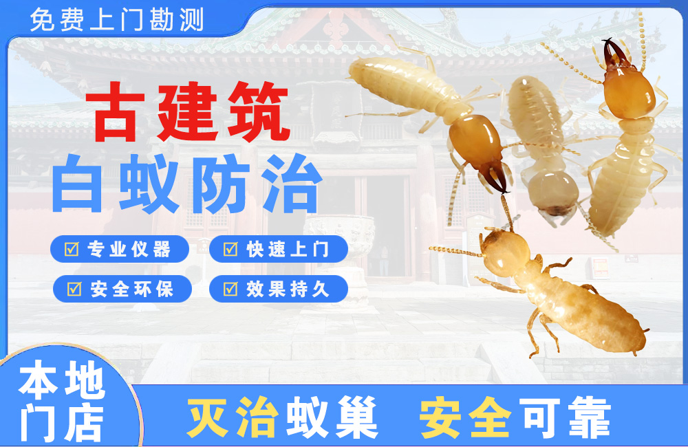 郴州古建筑白蚁防治