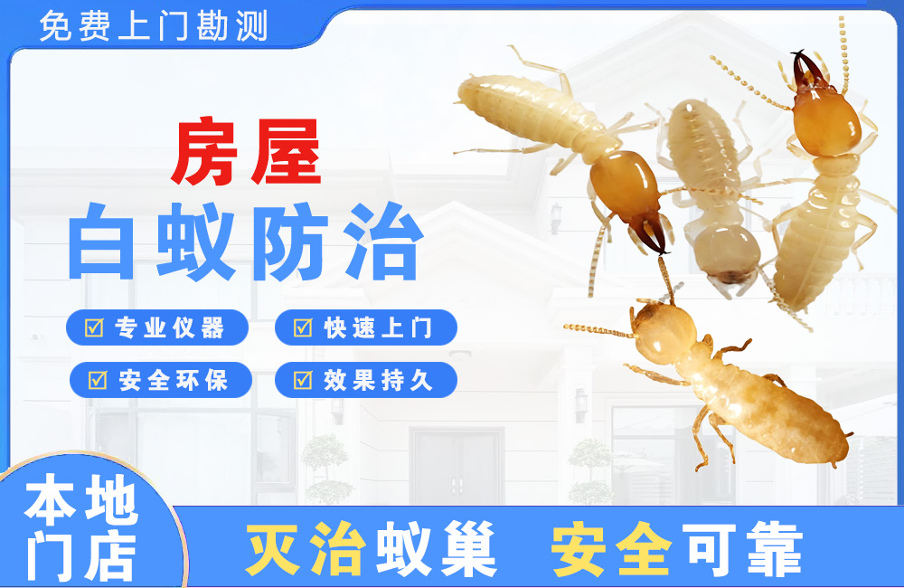 郴州房屋白蚁防治