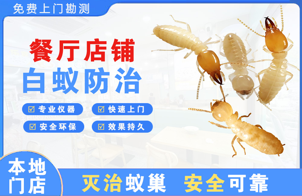 郴州餐厅店铺白蚁防治